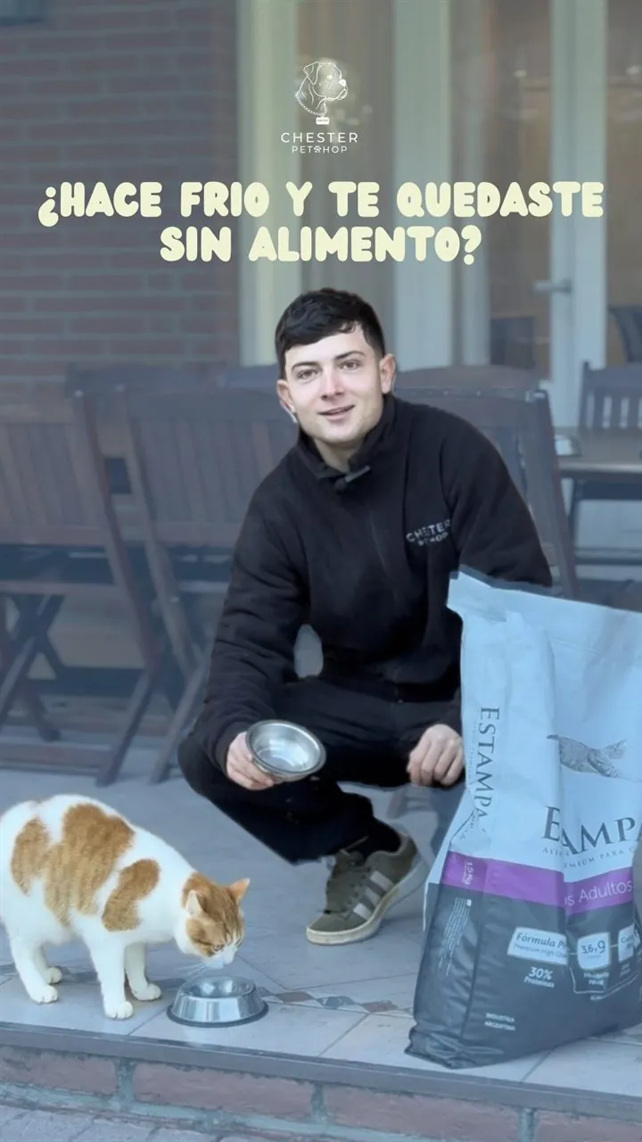 Uno de los chicos de Chester Pet Shop, con buzo de la marca, en cuclillas junto a una bolsa de alimento Estampa mientras un gato blanco y naranja come de un comedero
